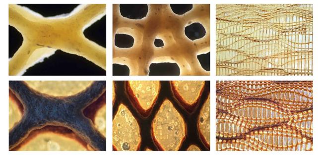 Six closeup photos of various arrangements of biocomposite panels.
