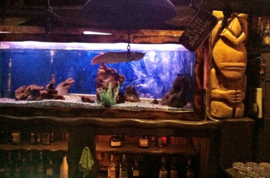 A fish swims above Bahooka's bar. (Sam Lubell/ AN )