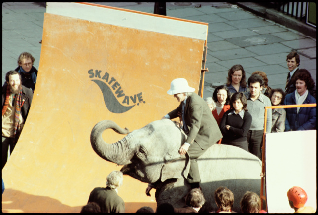Alvin Boyarsky on elephant outside the AA in 1978. (Courtesy Nicholas Boyarsky)