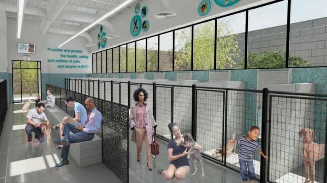 New York City reveals plans for $60 million Bronx animal shelter