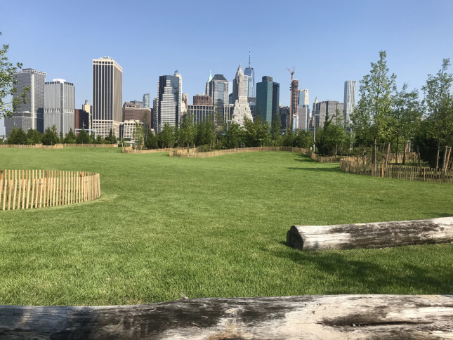 feild with skyline