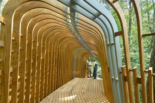 Photo of the interior of a treehouse ribbed in timber fins