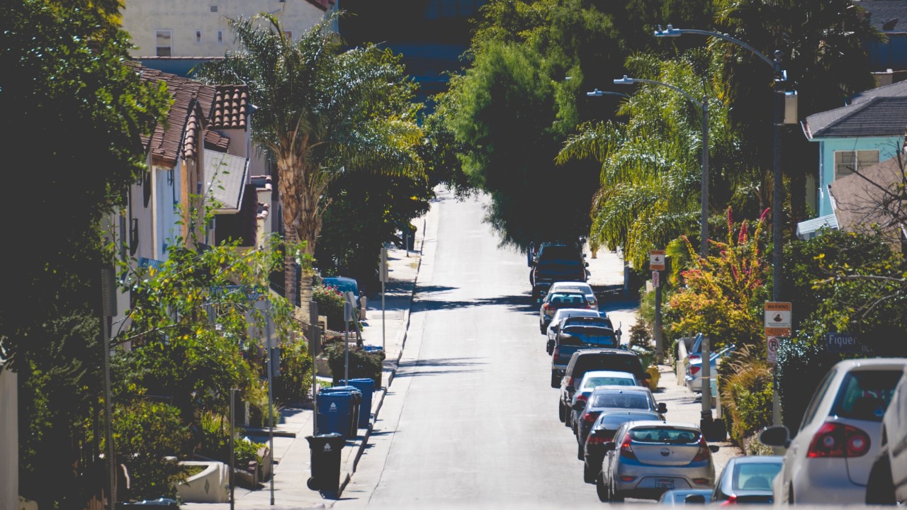 Google debuts an AI tool for tracking tree canopy coverage in L.A.