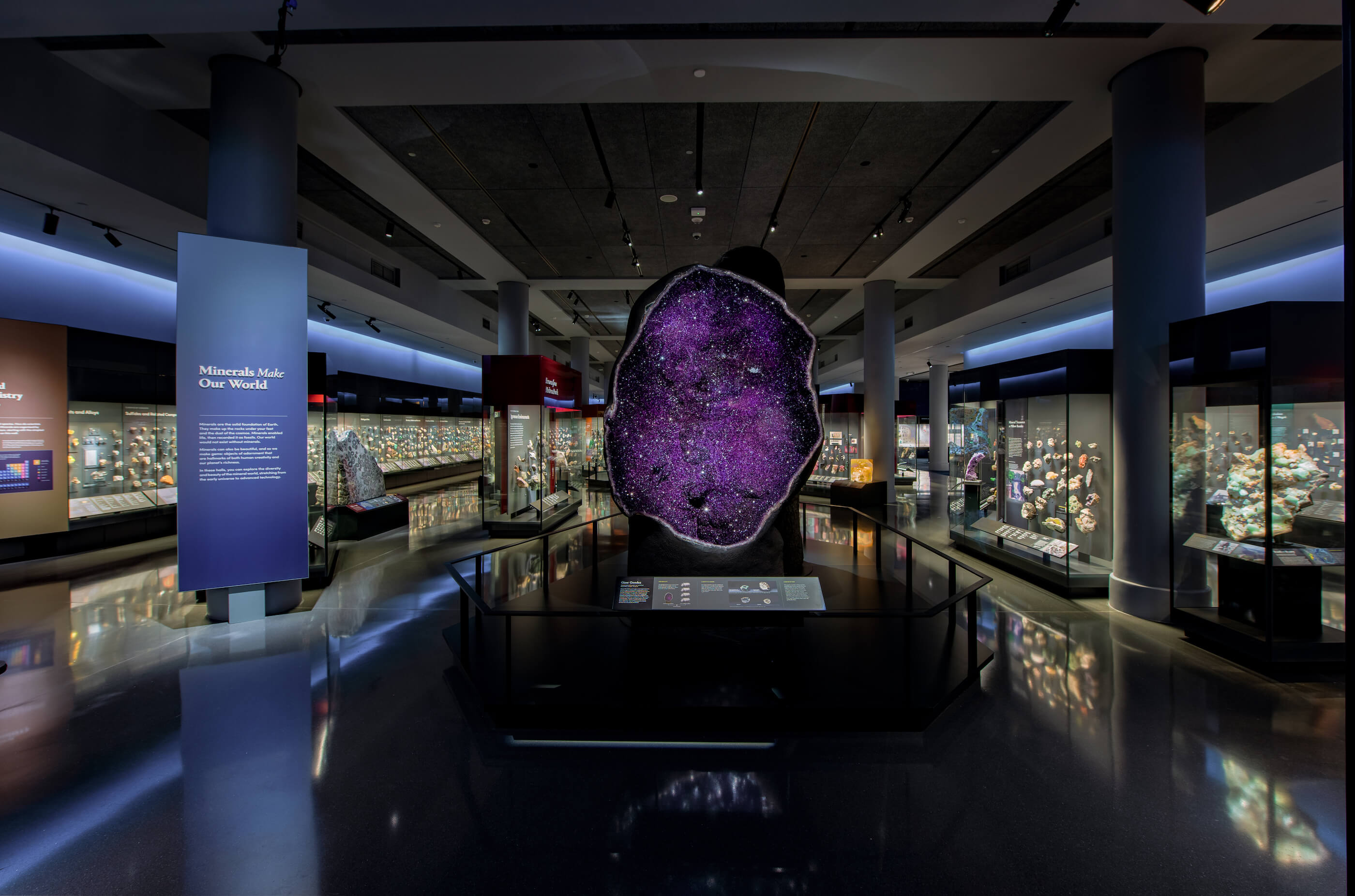 denver glass interiors denver museum of nature science colored glass pane