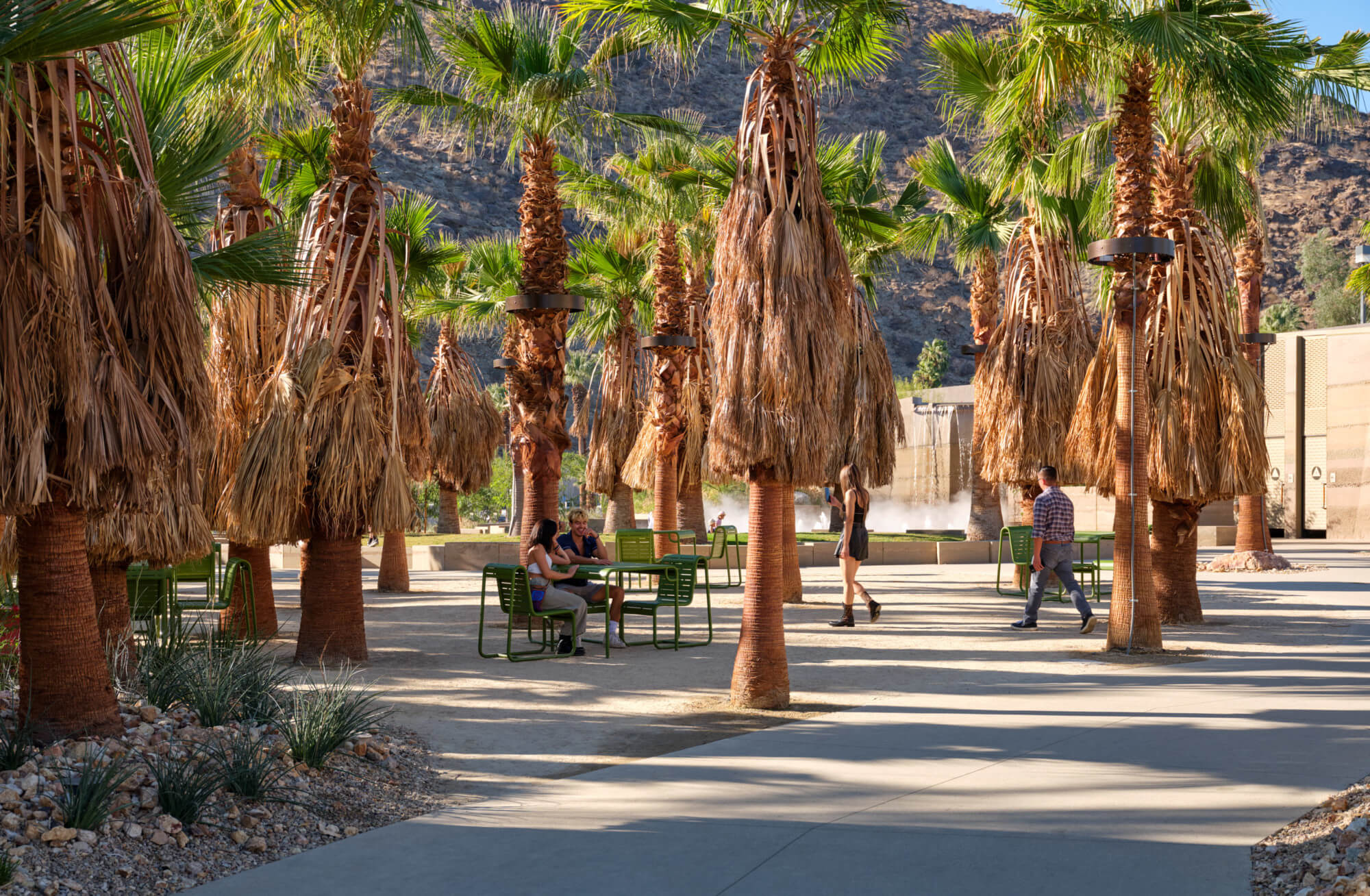 Palm Springs Downtown Park Looks Beyond The Desert Citys Midcentury Heyday