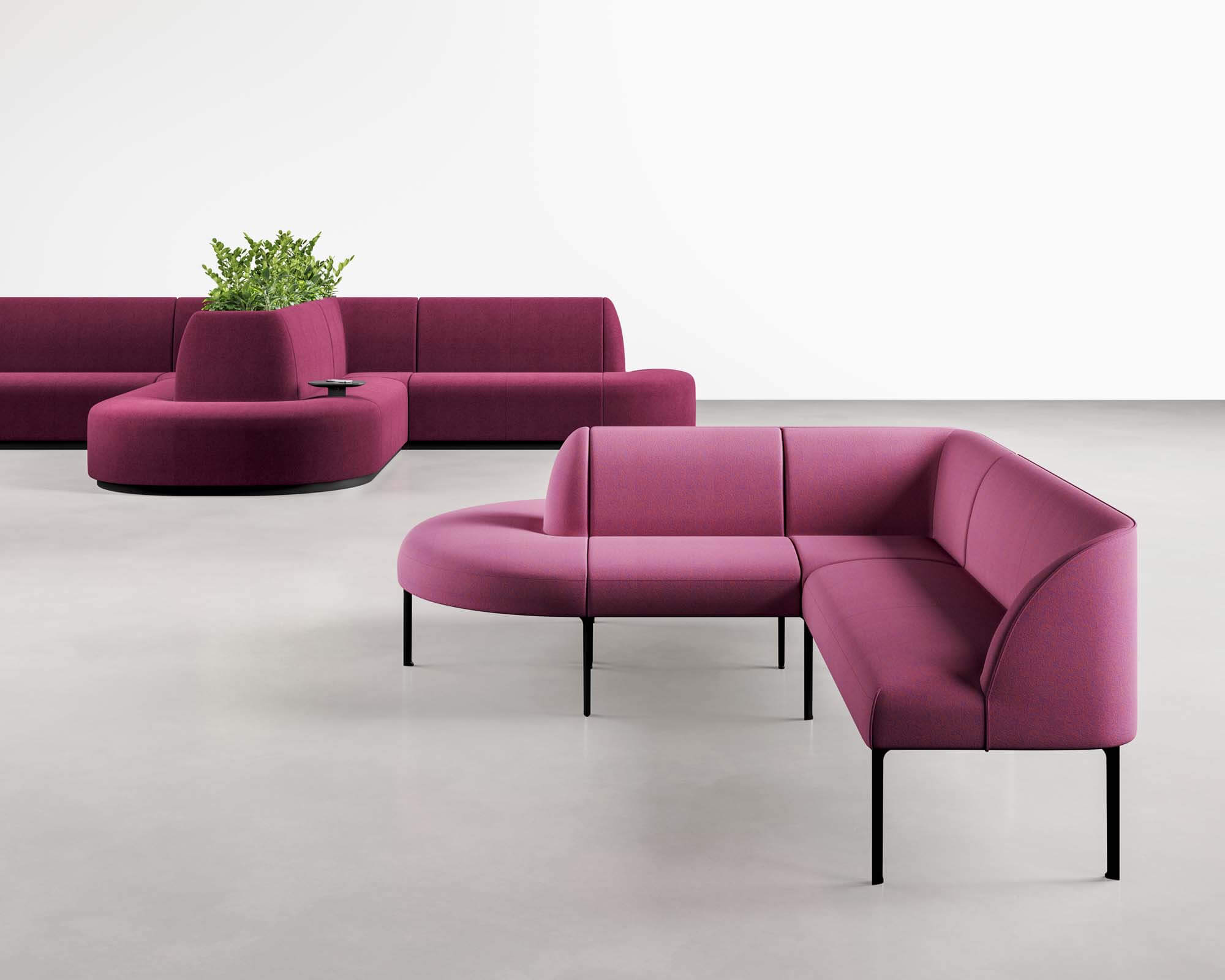 Curved purple indoor couch.