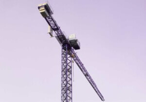 crane against purple sky