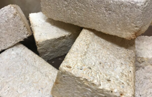 fungus bricks