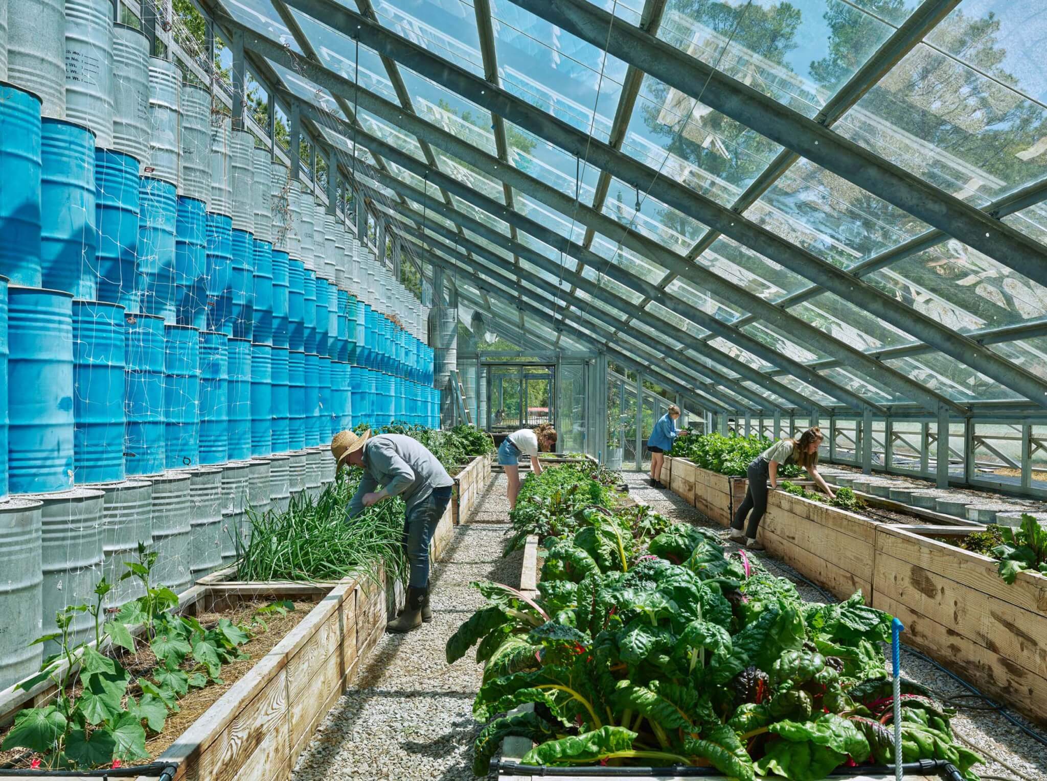 people working in greenhouse designed by Rural Studio