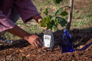 A volunteer for Poetic Justice, an artists collective, plants a tree in St. Louis. for the project Black Forest