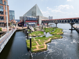 view of floating wetland off the Baltimore Harbor