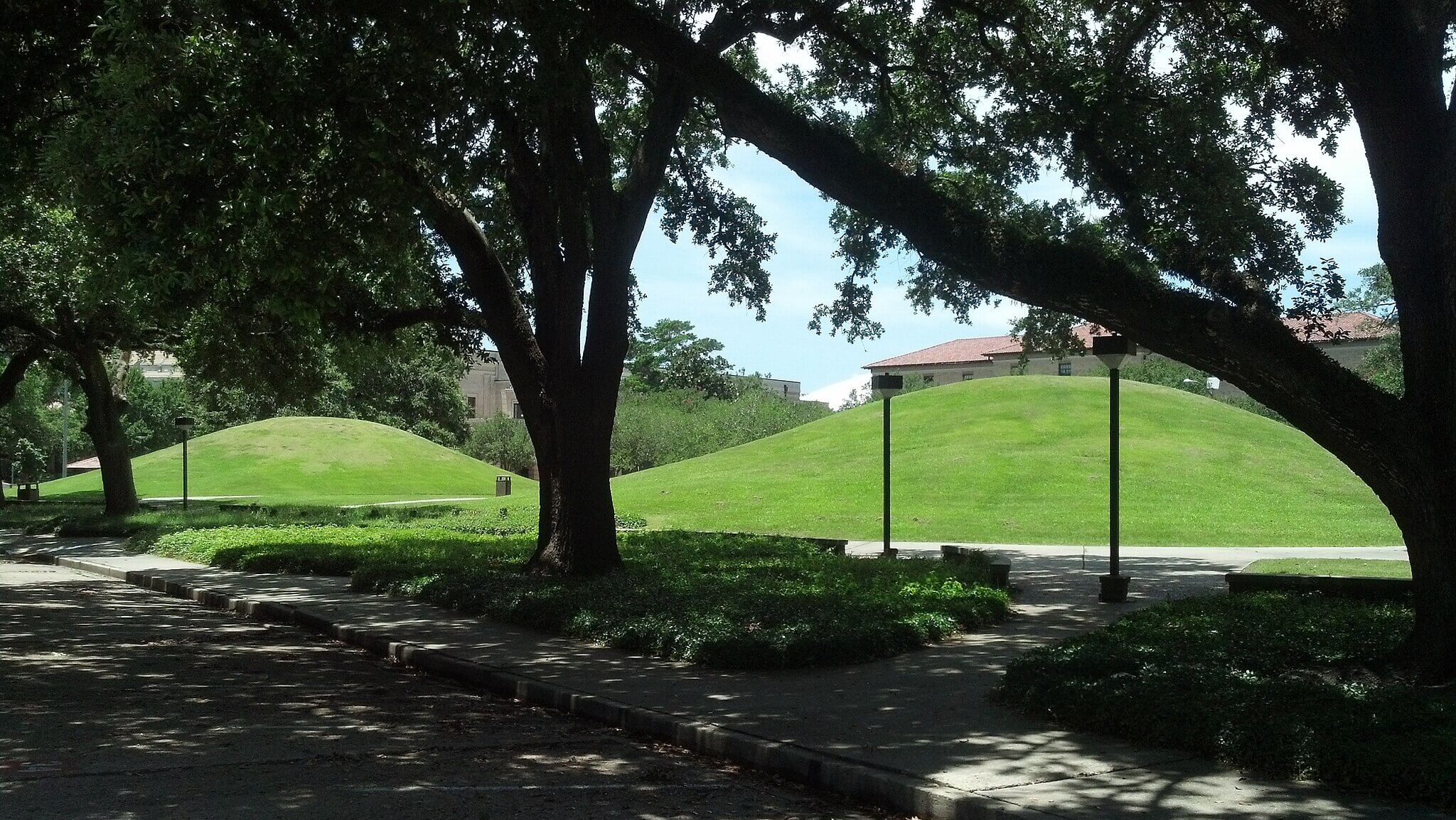 grassy mounds at Louisiana State University 