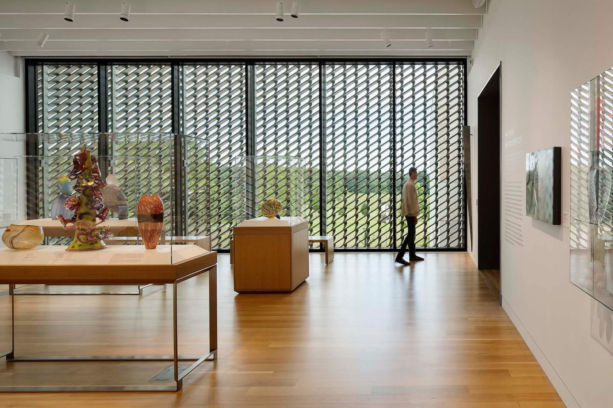 screened window looking out to verdant landscape