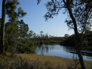 a body of water in Jonathan Dickinson, a Florida State Park