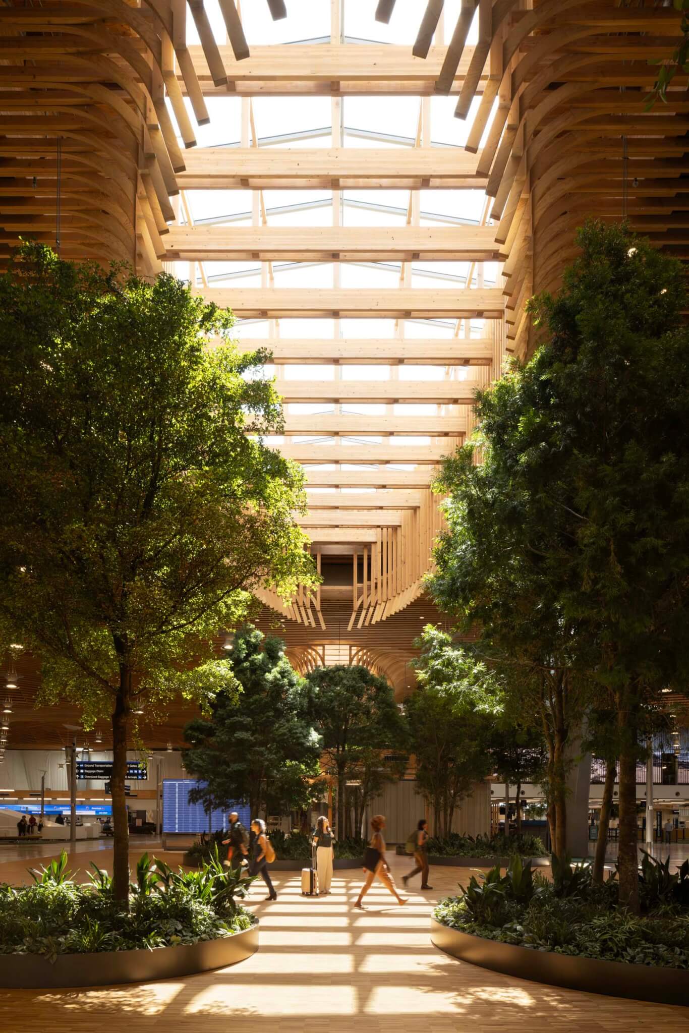 interior of Portland Airport showing timber roof with plants and skylights