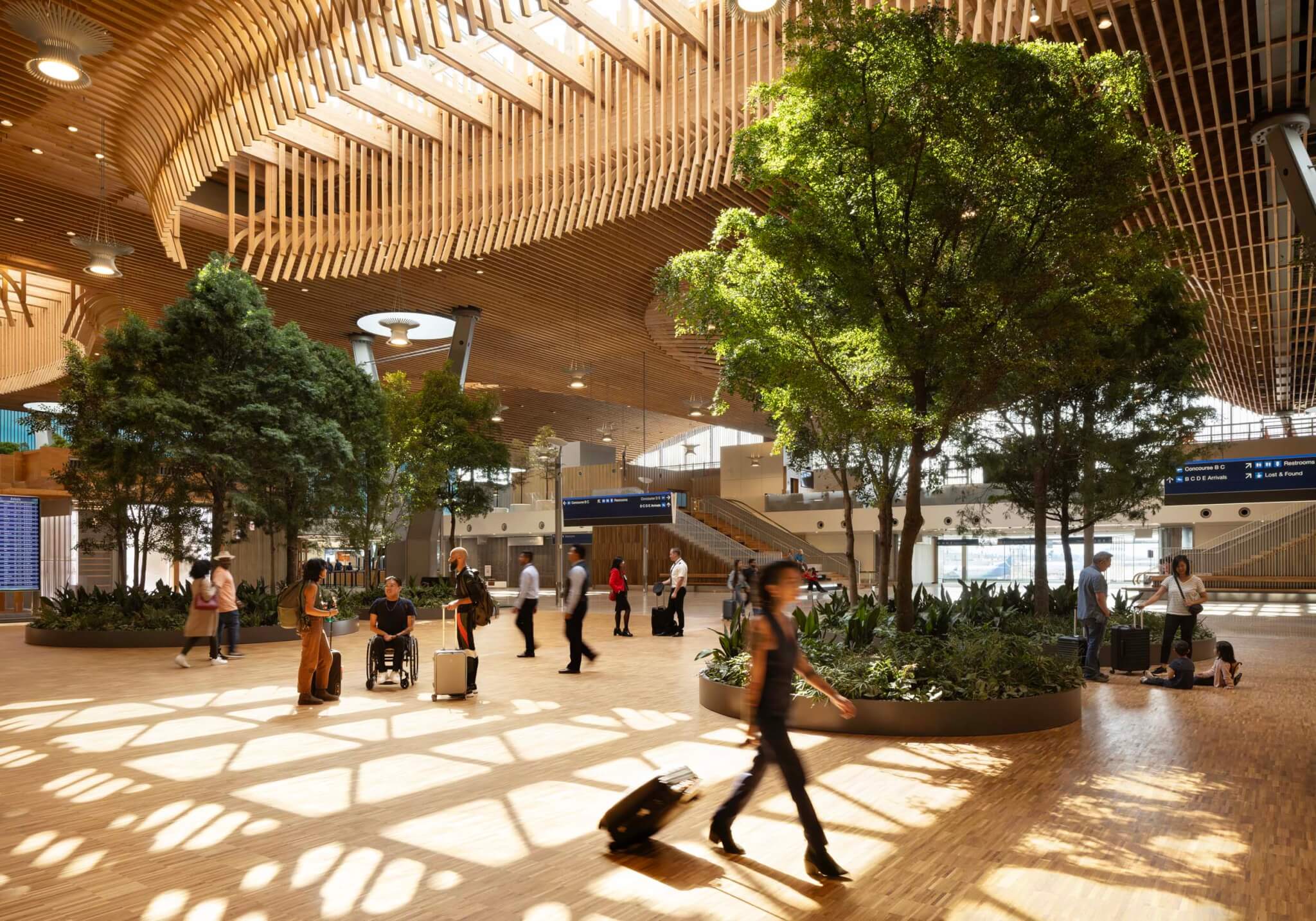 interior of Portland Airport showing timber roof