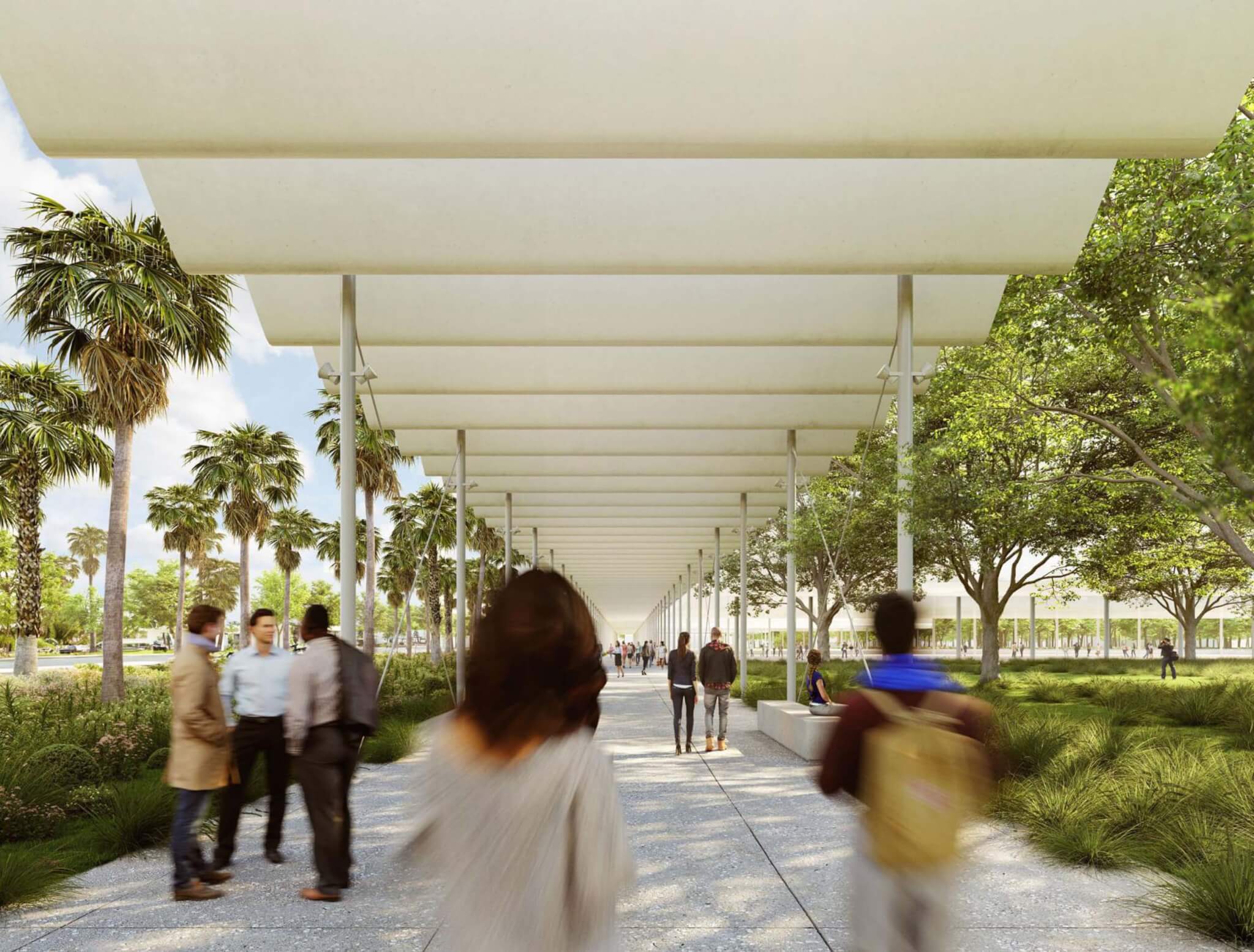 shaded walkway along Tamiami Trail