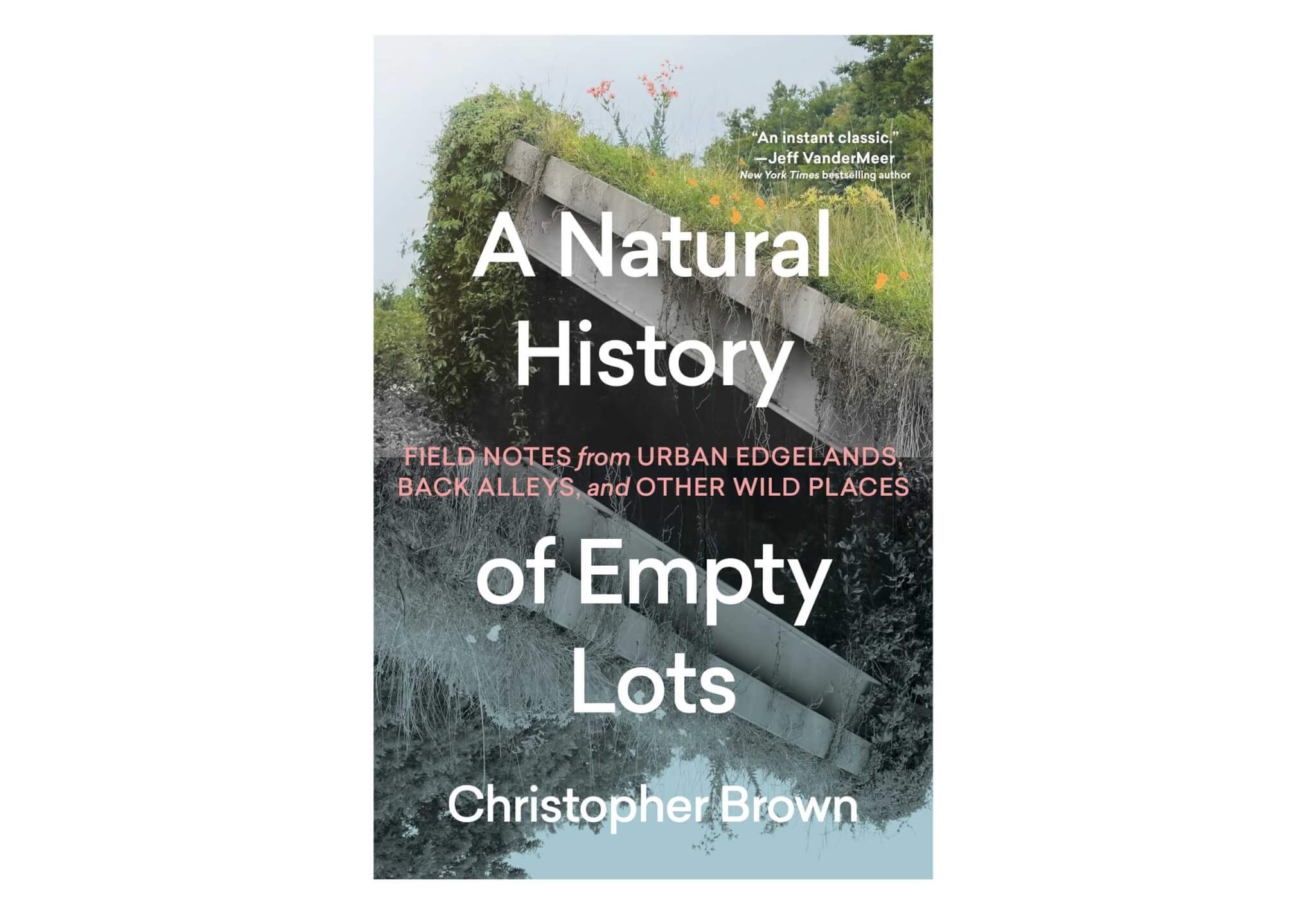 Christopher Brown’s A Natural History of Empty Lots explores what happens when nature and the city intersect