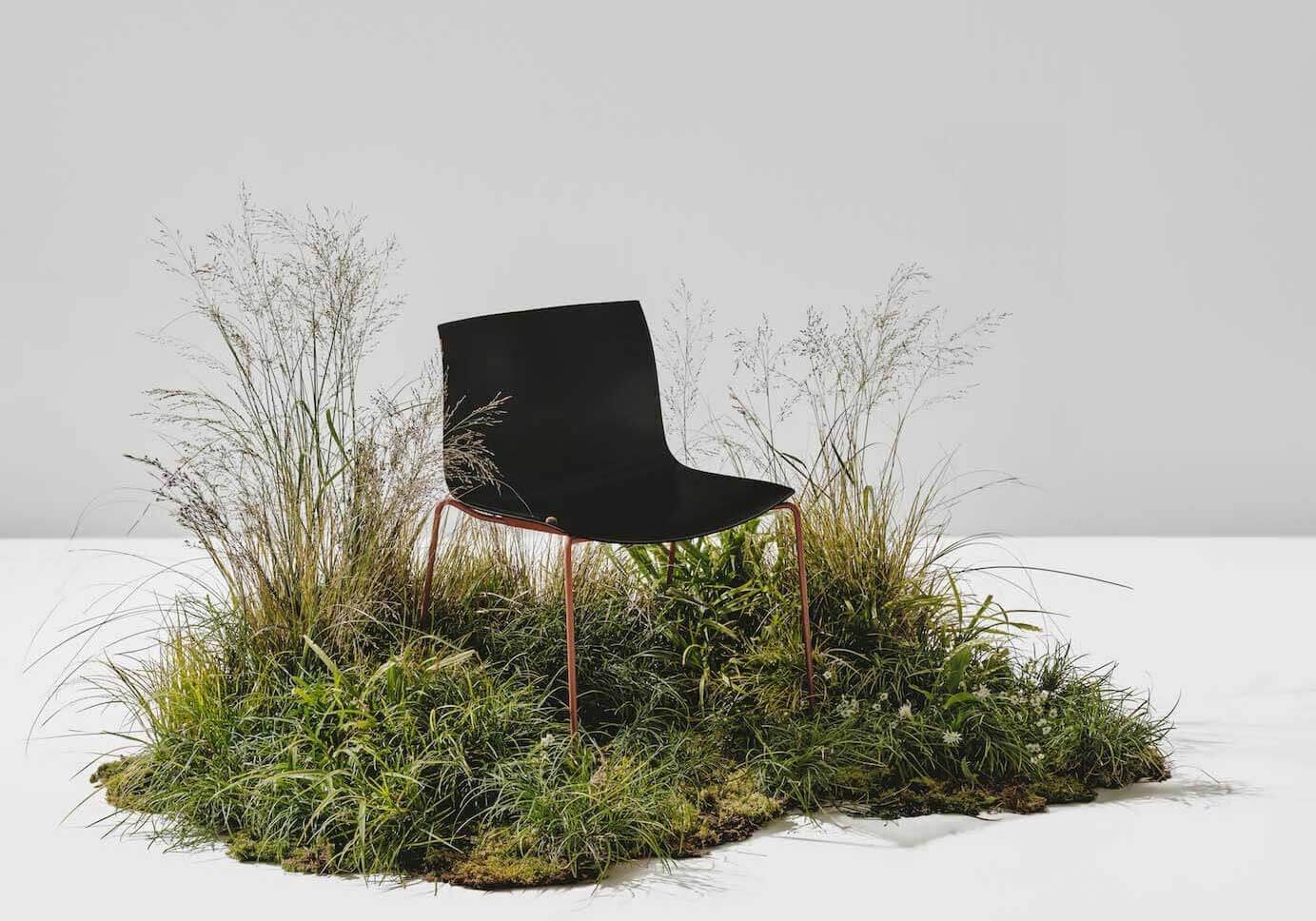 Sustainable Catifa Carta chair by Arper and PaperShell