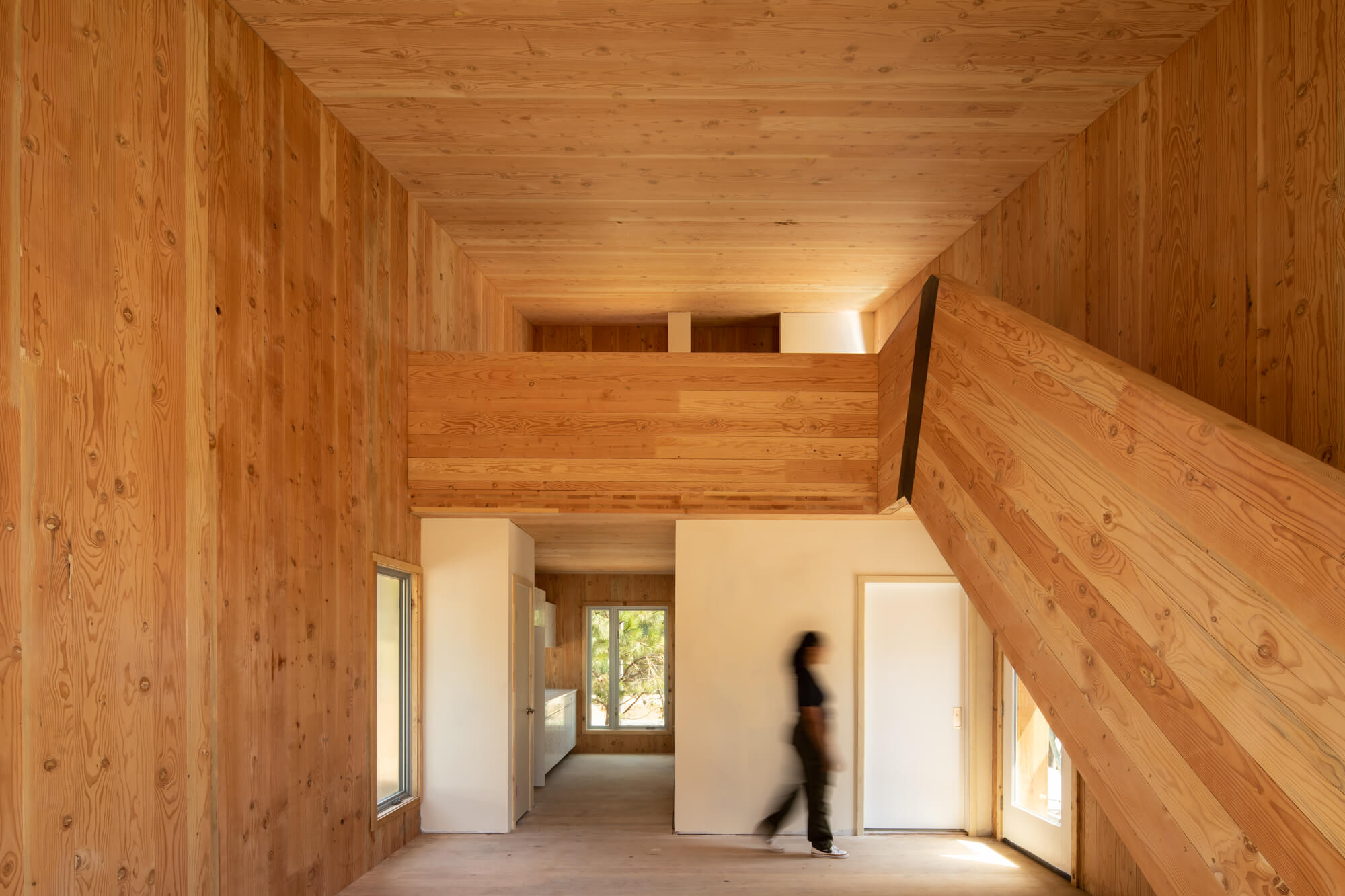 timber interior designed by atelierjones