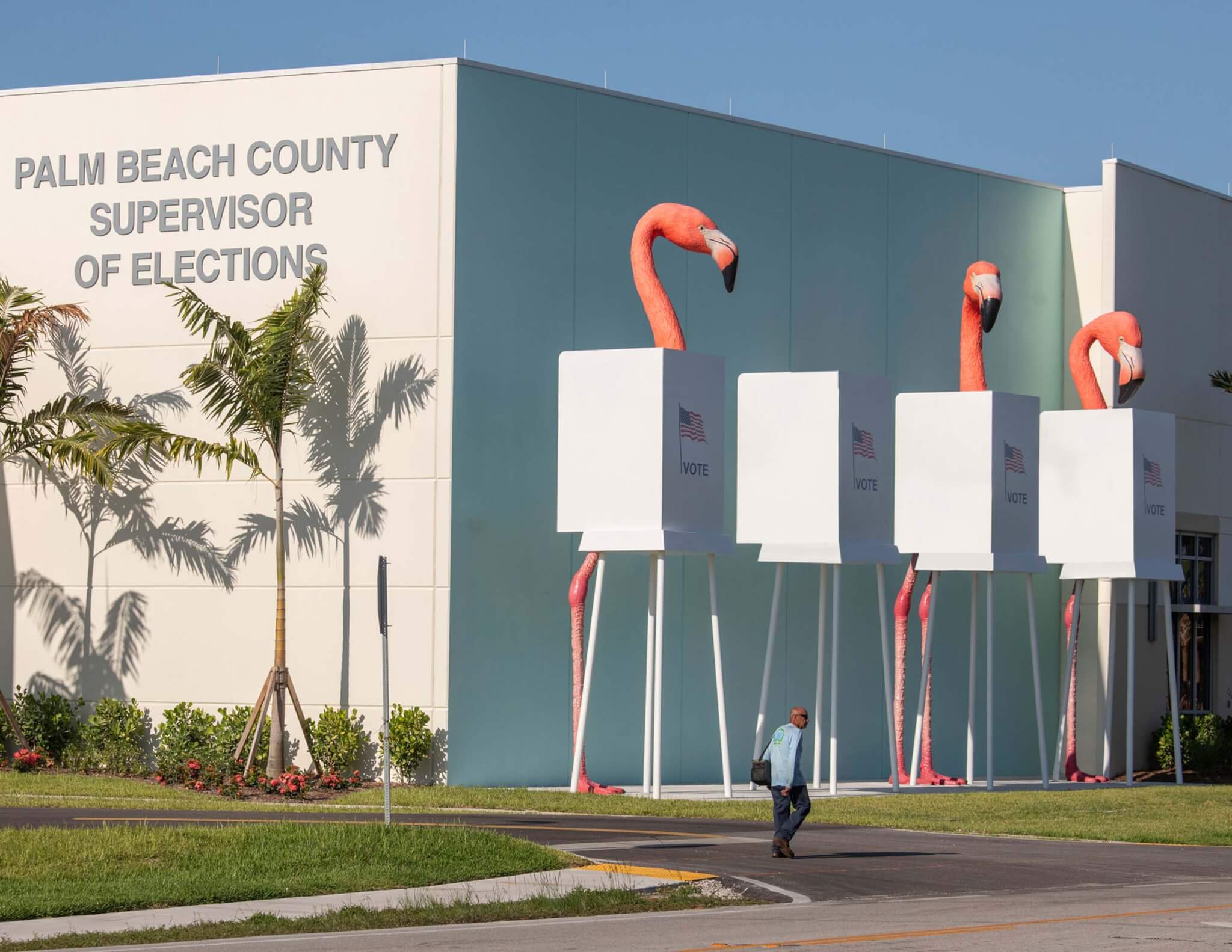 flamingo sculptures stand behind voting booths