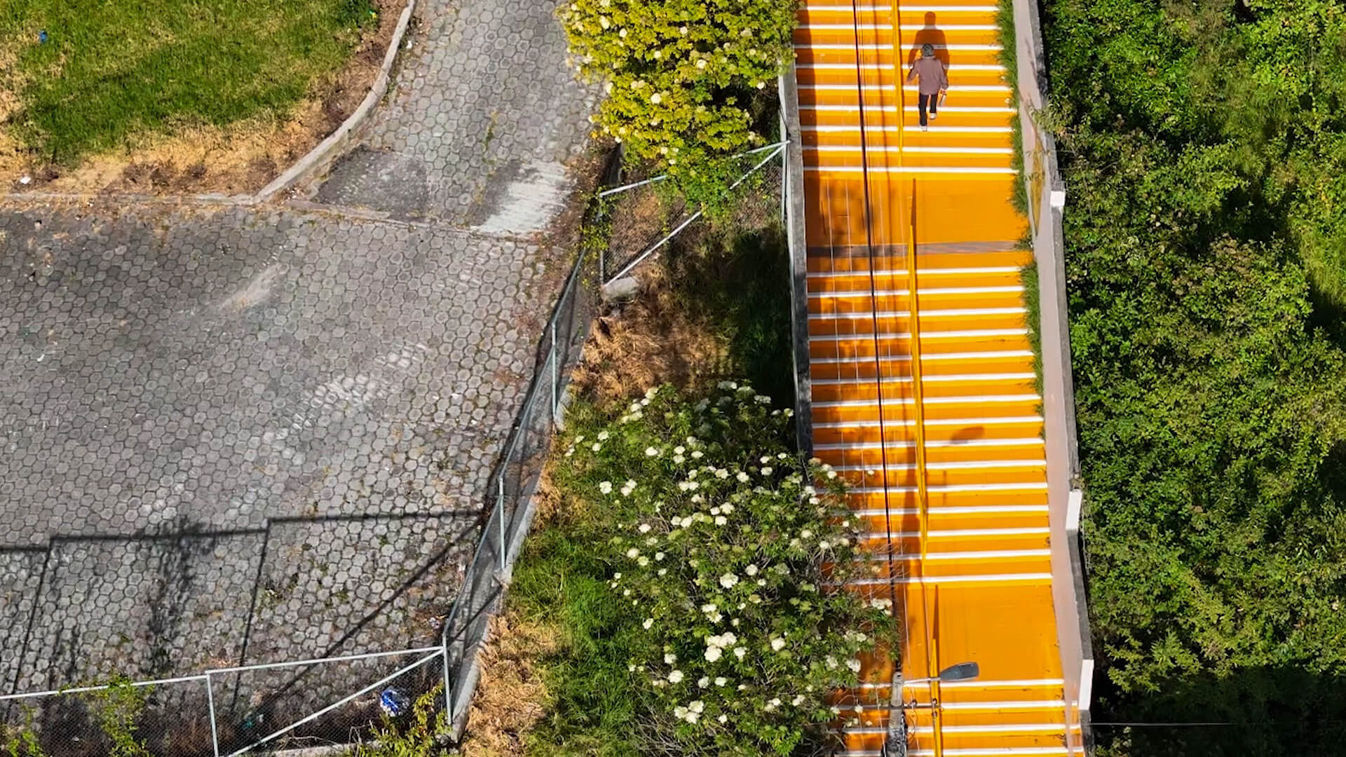 people walking up steps of CROMA by Estudio Felipe Escudero