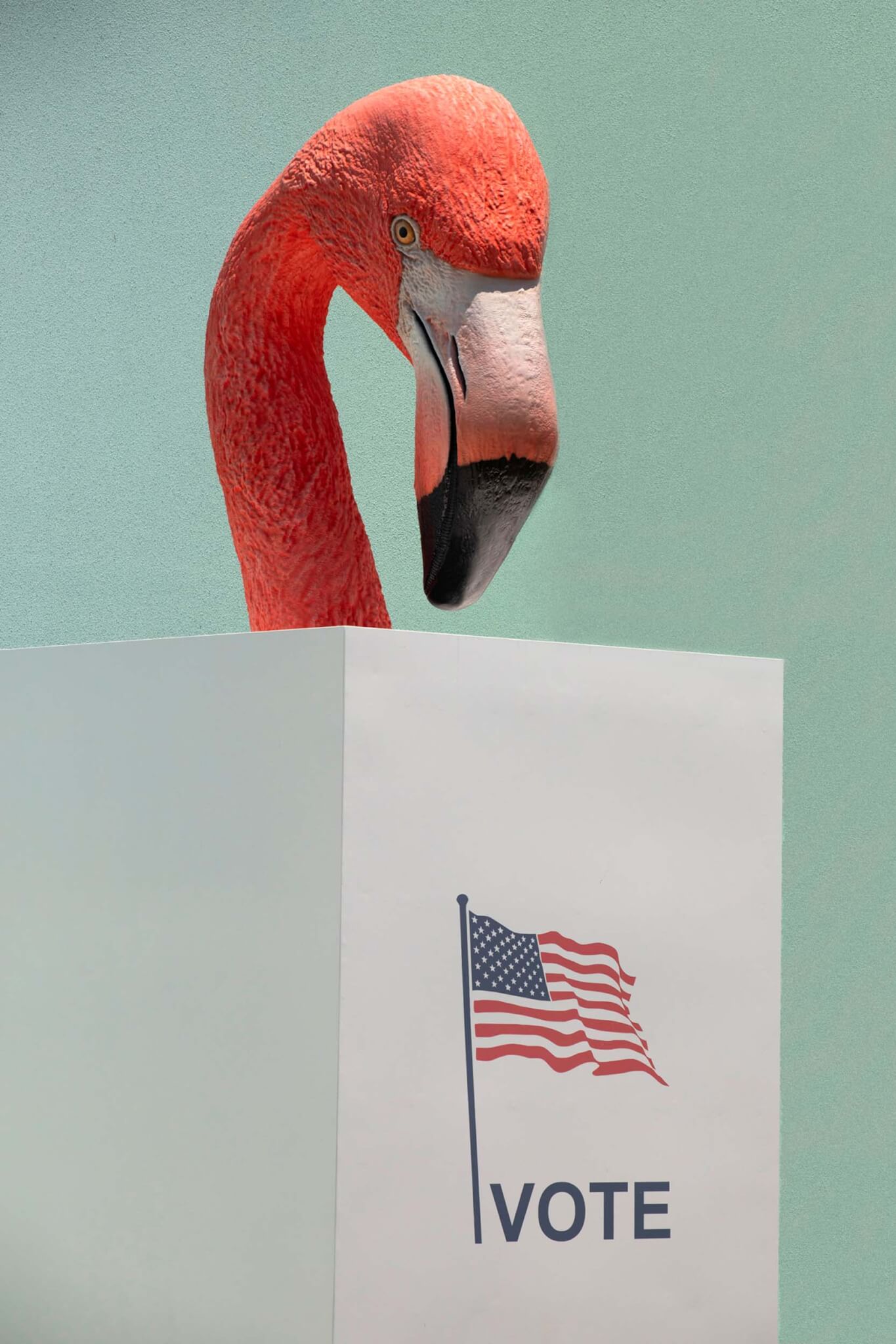 flamingo sculptures stand behind voting booths