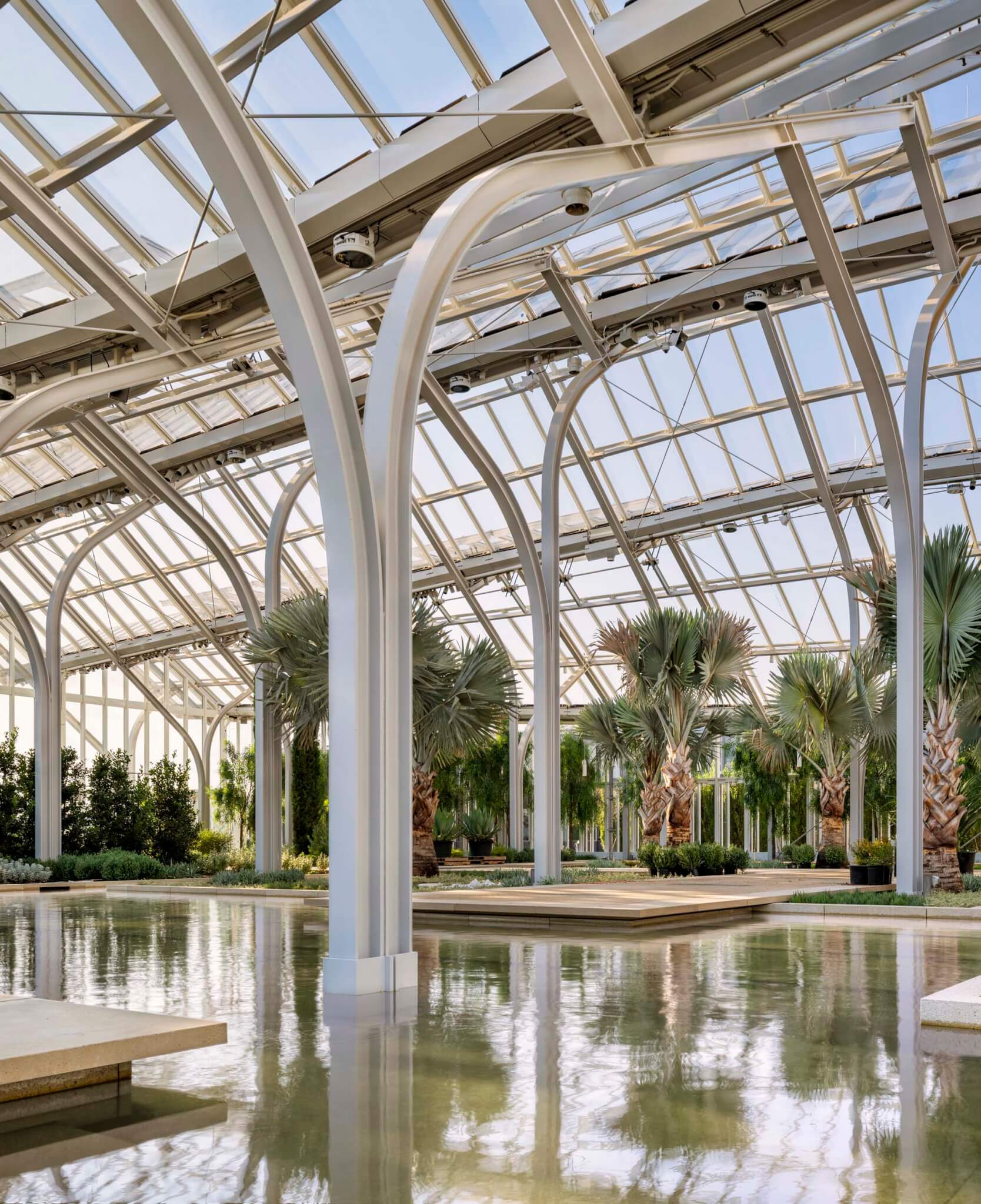 water feature inside greenhouse