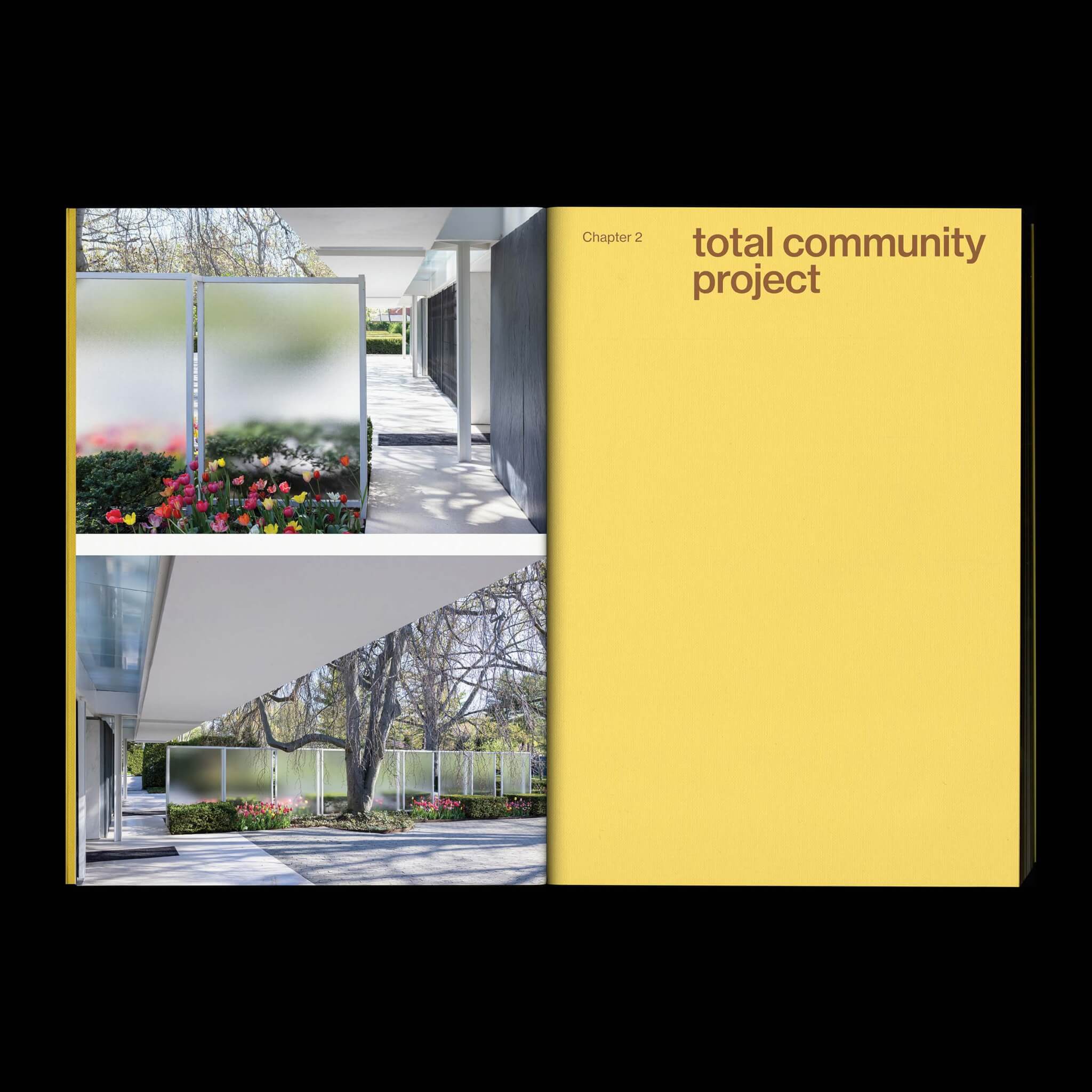 Total Community Project chapter opener