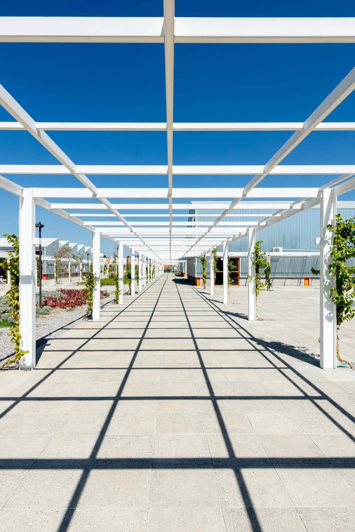 exterior pathways around the campus of the library